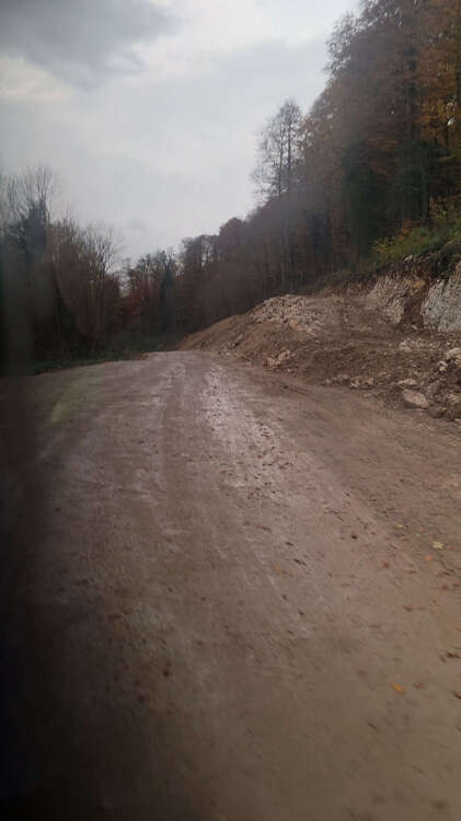 20251025_080916 2.jpg