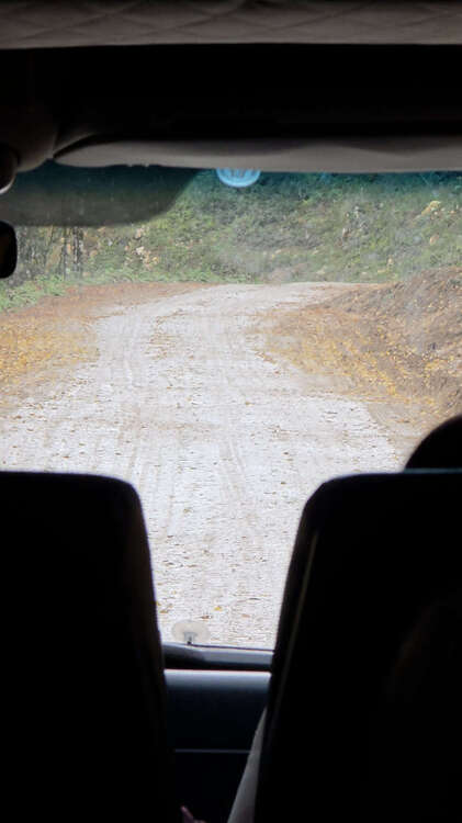 20251025_080956 2.jpg