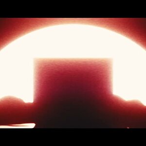 Something Wonderful 🐒⬛🐒