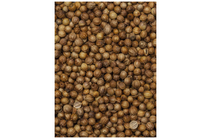 Кориандр целый Kotanyi ~370г (1200 мл), Австрия Кориандр целый Kotanyi ~370г (1200 мл), Австрия