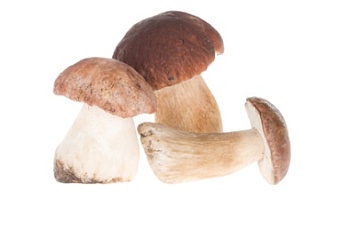 Изображение товара Грибы белые целые шляпка 1-5 см 5кг зам., Россия