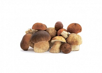 Изображение товара Грибы белые целые шляпка 4- 6 см 6кг