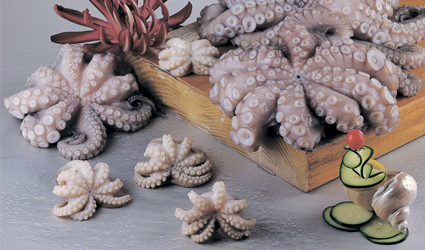 Моллюски, морская экзотика