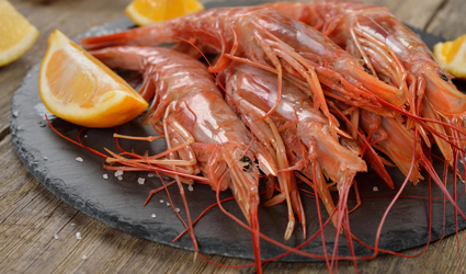 Ракообразные