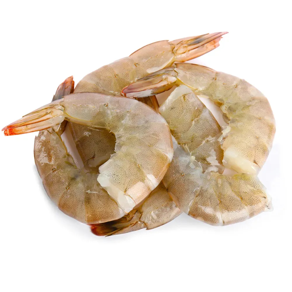 Multfilm jinsiy gif Tukli pussies kamming bir kompilyatsiya