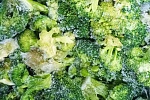 Капуста брокколи 10 кг, Египет