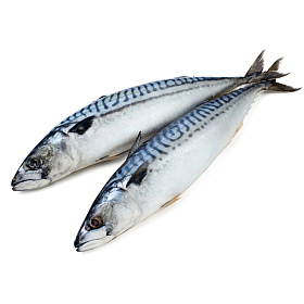 Скумбрия 400-600 г- 25 кг (2 х 12,5 кг) бортовая заморозка, Фарерские Острова