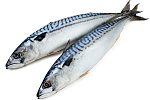 Скумбрия 400-600 г- 25 кг (2 х 12,5 кг) бортовая заморозка, Фарерские Острова