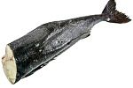 Угольная рыба (черная треска) потрошеная без головы 1-2 кг блок 17 кг Угольная рыба (черная треска) потрошеная без головы 1-2 кг блок 17 кг