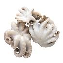 Осьминоги 40/60  1кг, Вьетнам