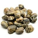 Вонголе (Клемы) в раковинах варено-мороженые 31/40 -500г, Китай