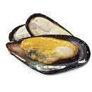 Мидии голубые 1/2 раковины варено-мороженые 30/40 - 1 кг AQUAMARR, Китай