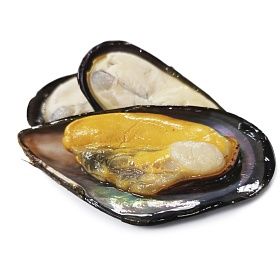 Мидии голубые 1/2 раковины варено-мороженые 30/40 - 1 кг AQUAMARR, Китай