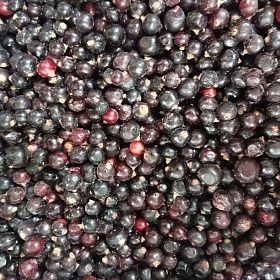 Смородина черная 10кг