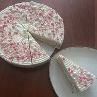 Торт Молочная девочка розовая (12 порций/ 1,32кг) Frozen Cake