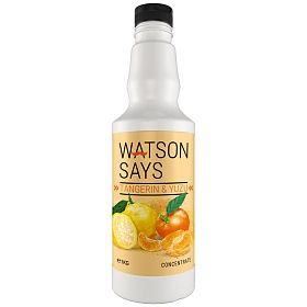 Основа для напитков Мандарин-Юзу Agrana Fruit 1кг