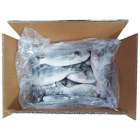 Дорадо целая неразделанная 300-400 г - 5 кг, Турция
