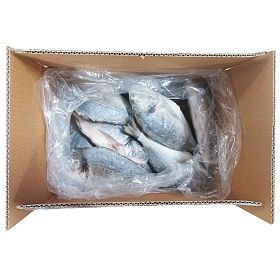 Дорадо целая неразделанная 400-600 г - 5 кг, Турция
