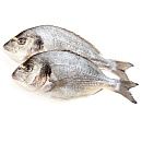 Дорадо целая неразделанная 300-400 г - 5 кг, Турция