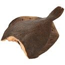 Камбала морская потрошеная без головы 300-500г- 10кг зам.
