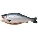 Кижуч потрошеный без головы 3,6-4,5 кг Premium, Чили