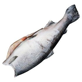 Кижуч потрошеный без головы 3,6-4,5 кг Premium, Чили Кижуч потрошеный без головы 3,6-4,5 кг Premium, Чили