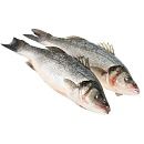 Сибас (лаврак) целый неразделанный 400-600 г - 5 кг, Турция