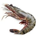 Креветки тигровые с головой 13/15  1кг зам., Бангладеш