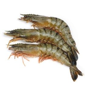 Креветки тигровые с головой 16/20  -1кг, Бангладеш зам.