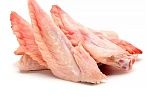 Курица, Крыло 1 фаланга, локтевая часть 15кг Курников зам.