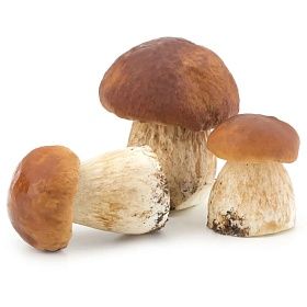 Грибы Белые целые отборные шляпка 4-6 см, 7кг Грибы Белые целые отборные шляпка 4-6 см, 7кг