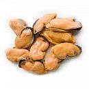 Мидии очищенные варено-мороженые 200/300 10кгзам., Китай