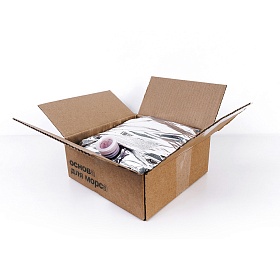 Морс (основа) брусника 5кг