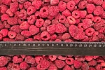 Малина 10 кг, Киргизия
