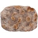 Основа для римской пиццы Ржаная (Парбейк) 20х30 см (240г х 20 шт) зам., Новиков