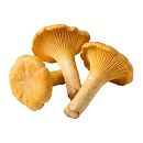 Грибы Лисички 5кг